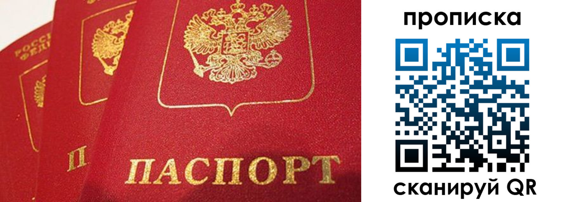 прописка регистрация в Камышине